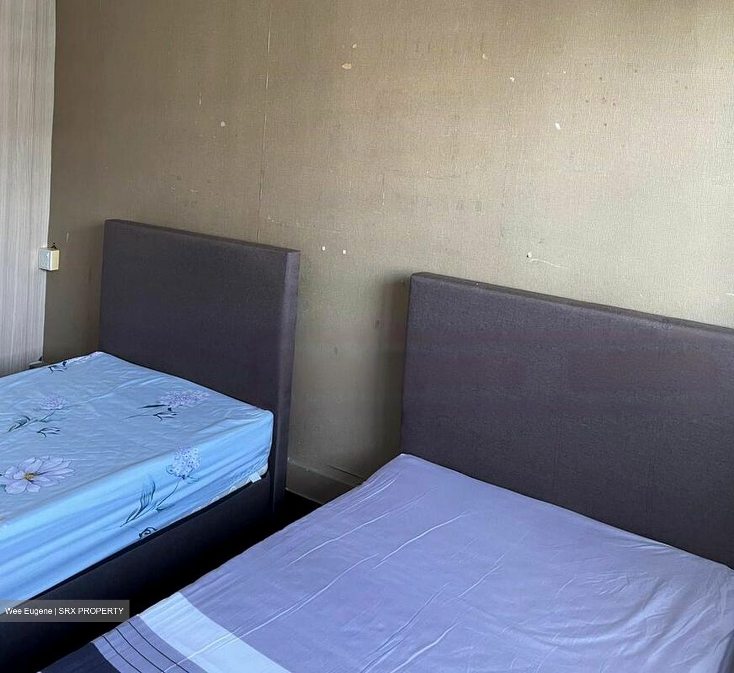 Blk 117B Rivervale Edge (Sengkang), HDB Executive #464426871